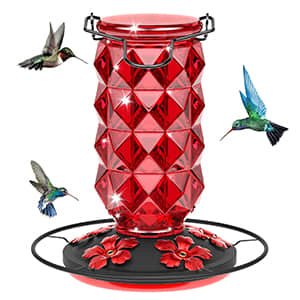 Bircana Diamantfutterspender