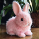 PetsBoro™ BunnyPal