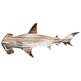 SheremArt Metal Shark Art