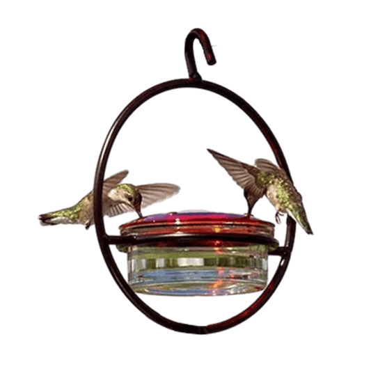 Sherem Kolibri-Rundfutterspender