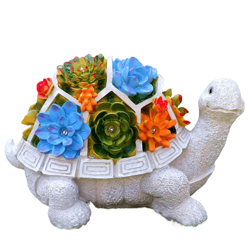 Sherem Sonnenglanzschildkröte