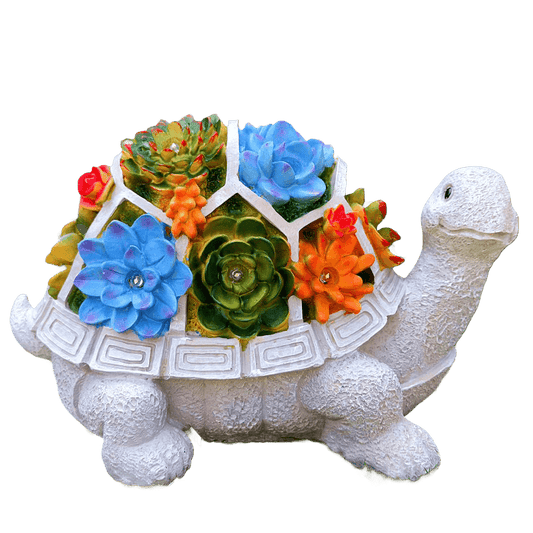 Sherem Sonnenglanzschildkröte