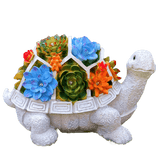 Sherem SunGlow Turtle