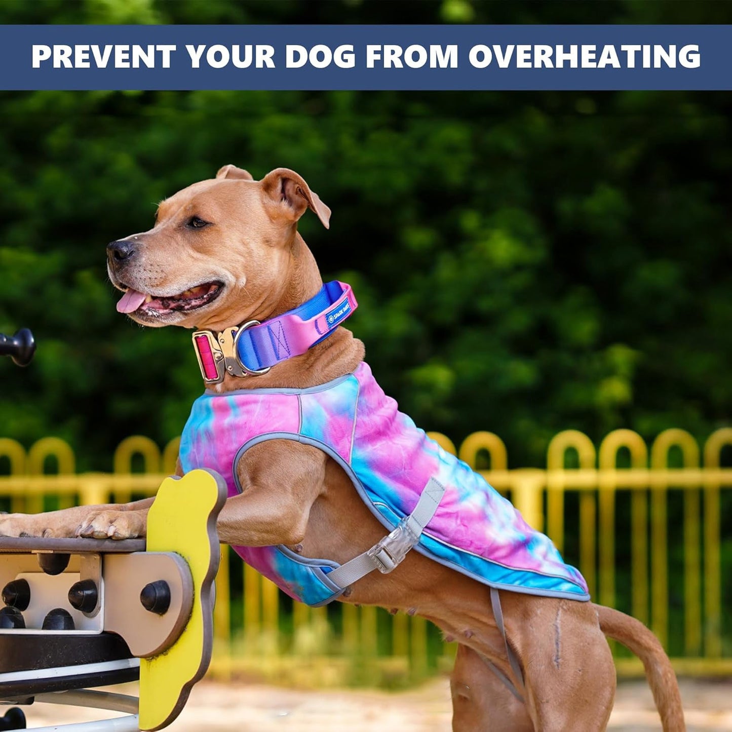 Dog Cooling Vest - SPF 50 UV Sun Protection