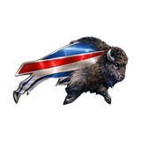 Vueeze™ NFL IronMark