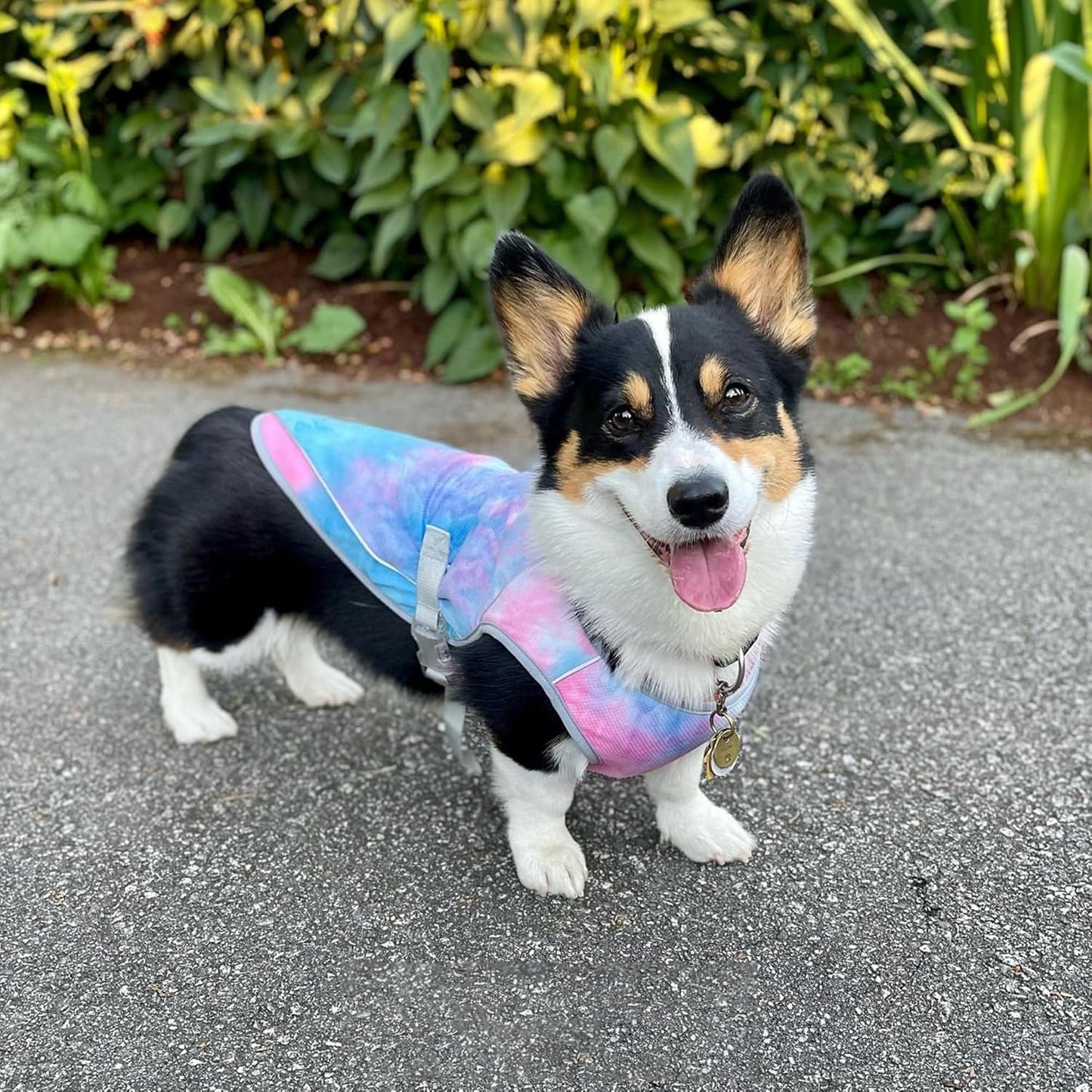 Dog Cooling Vest - SPF 50 UV Sun Protection