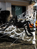 Halloween decoration cobweb and spider