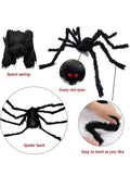 Halloween decoration cobweb and spider
