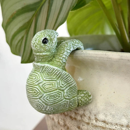 SheremArt Turtle Climber