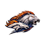 Vueeze™ NFL IronMark