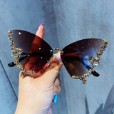 Joyhnny Butterfly Sunglasses