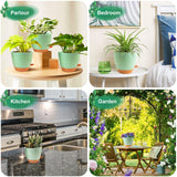 Self Watering Plant Pots