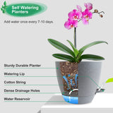 Self Watering Plant Pots