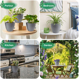 Self Watering Plant Pots