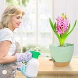 Self Watering Plant Pots