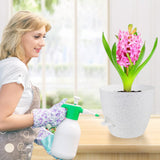 Self Watering Plant Pots