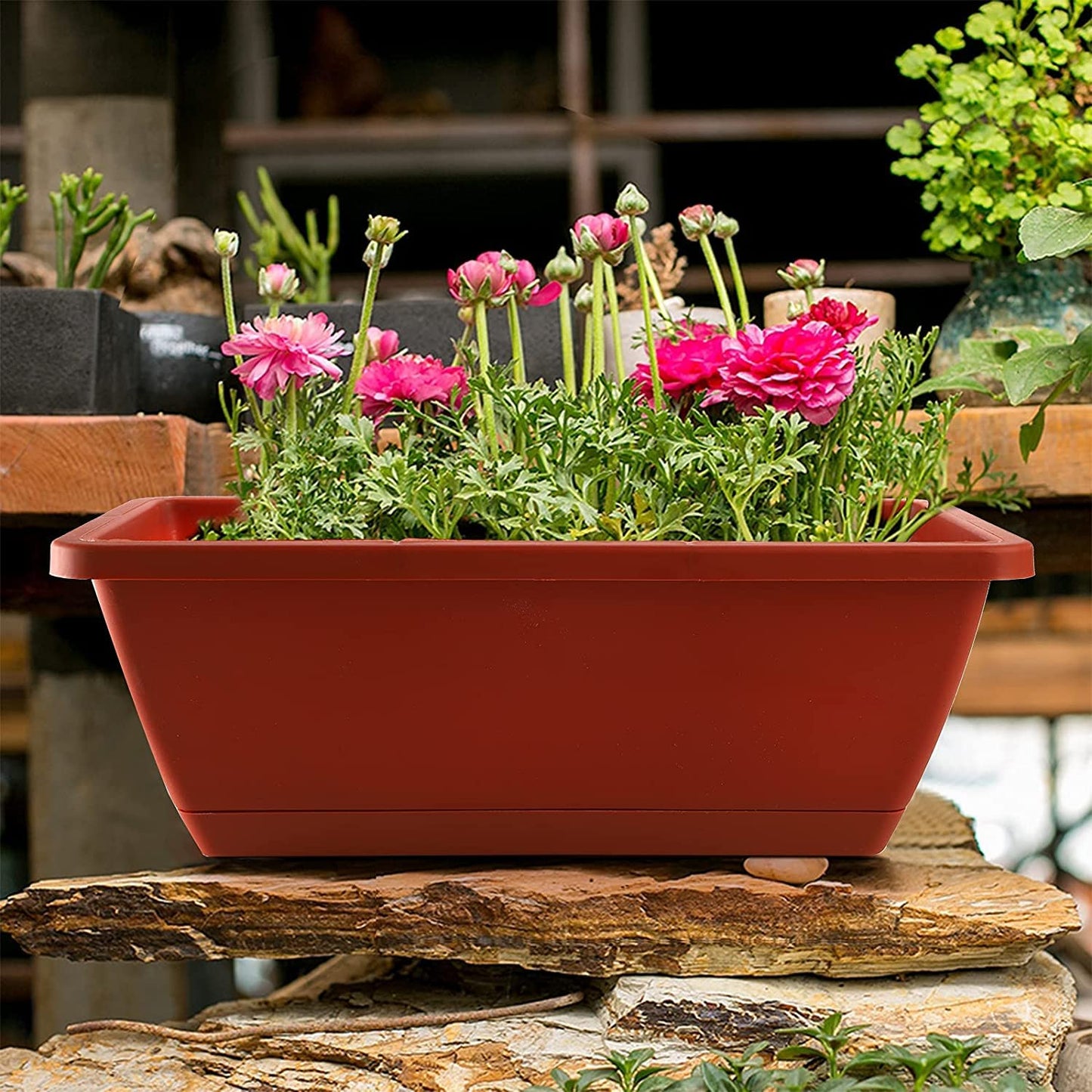 Rectangular Window Box Planter