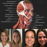 Facial Toner Jaw Exerciser And Neck Toning