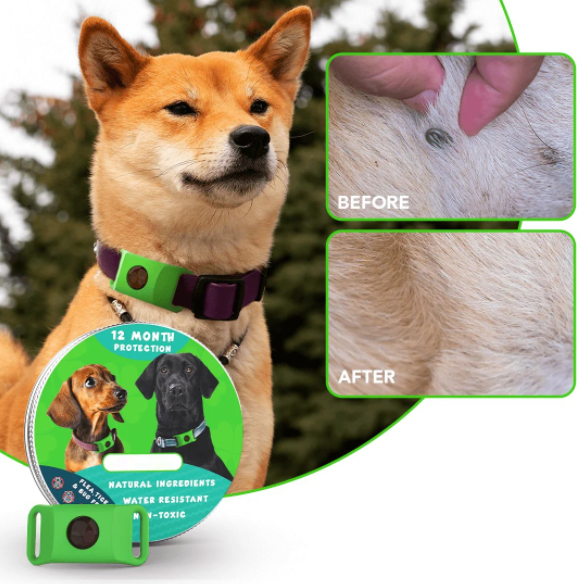 🐕12 Months Flea and Tick Free