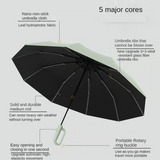Umbrella with Novelty Carabiner Handle