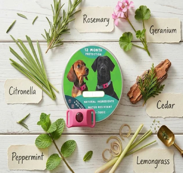 🐕12 Months Flea and Tick Free