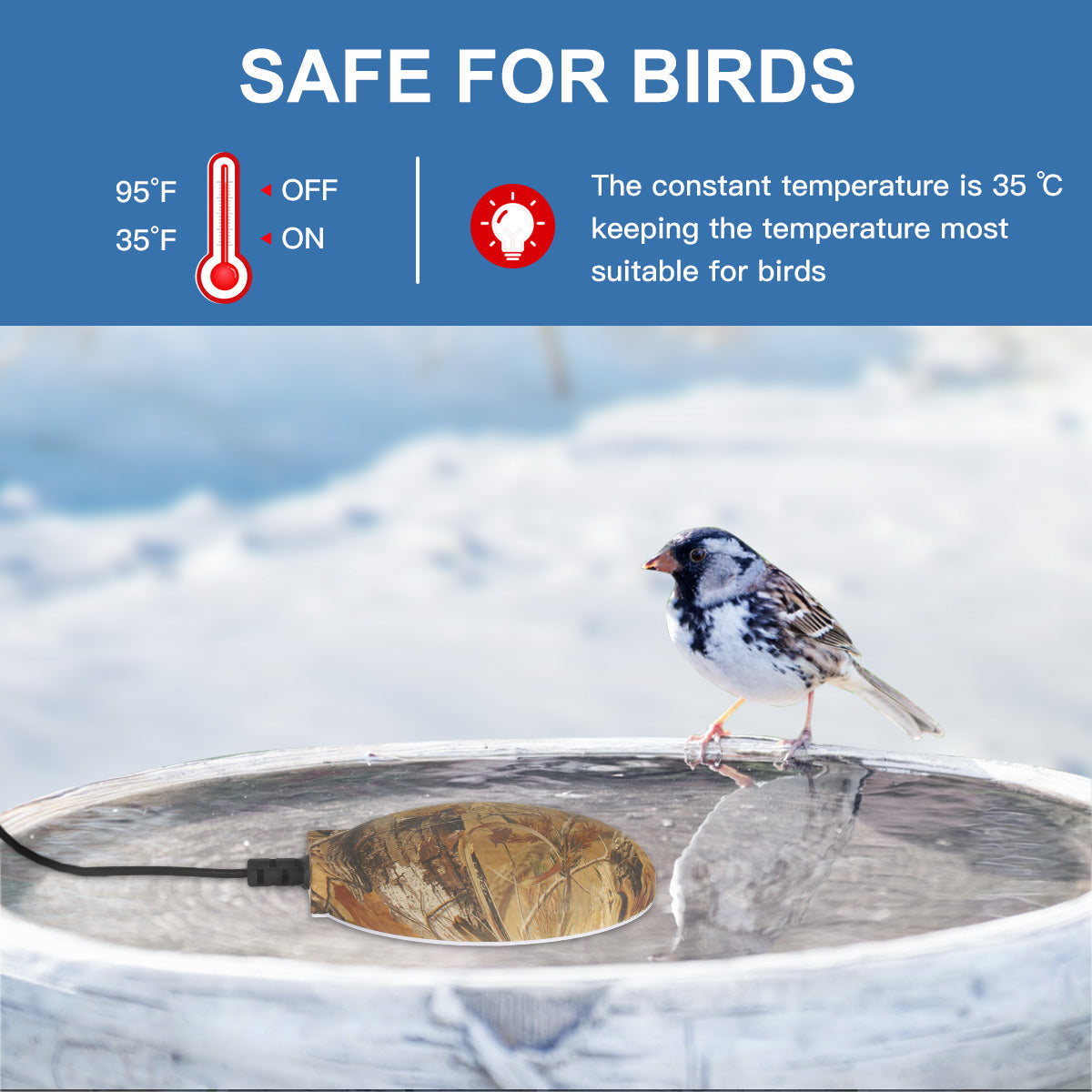 Upgrade Bird Bath Heater for Outdoors