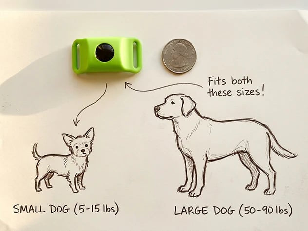 🐕12 Months Flea and Tick Free