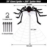 Halloween decoration cobweb and spider