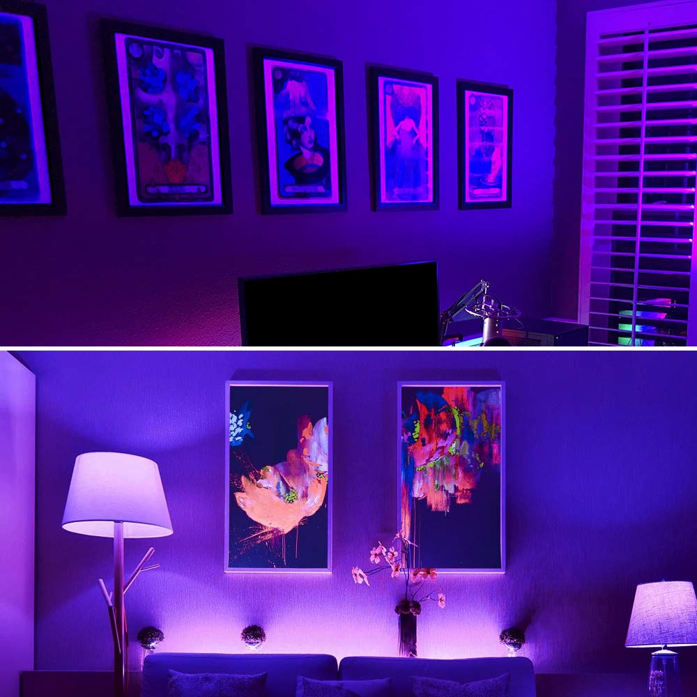 Ampoule UV LED lumière noire