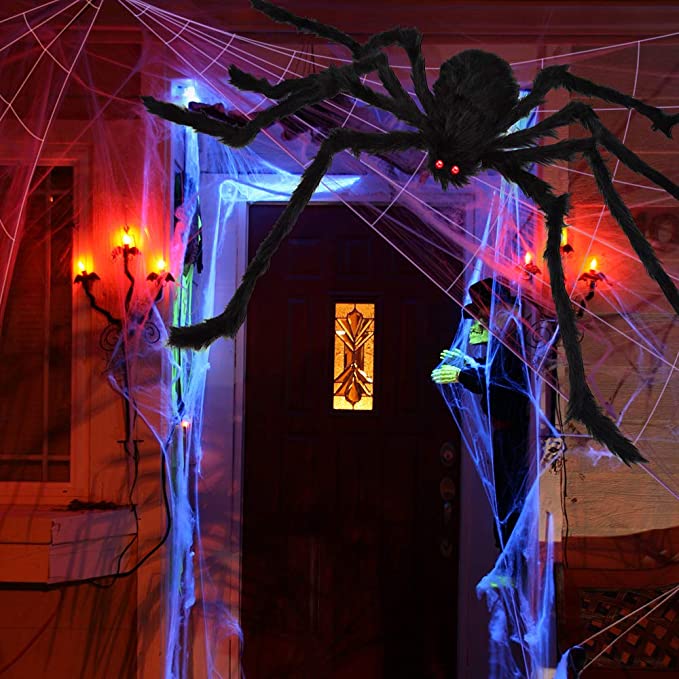 Halloween decoration cobweb and spider