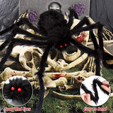 Halloween decoration cobweb and spider