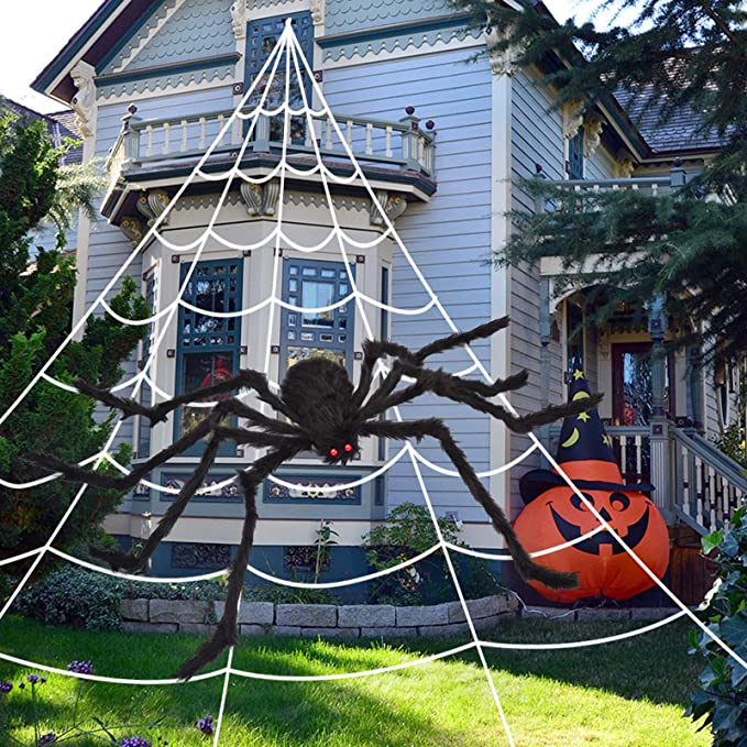 Halloween decoration cobweb and spider
