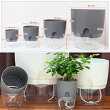 Self Watering Plant Pot