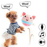 PetsBoro Active Moving Pet Plush Toy