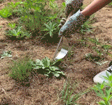 Sherem Stainless Steel Weed Remover