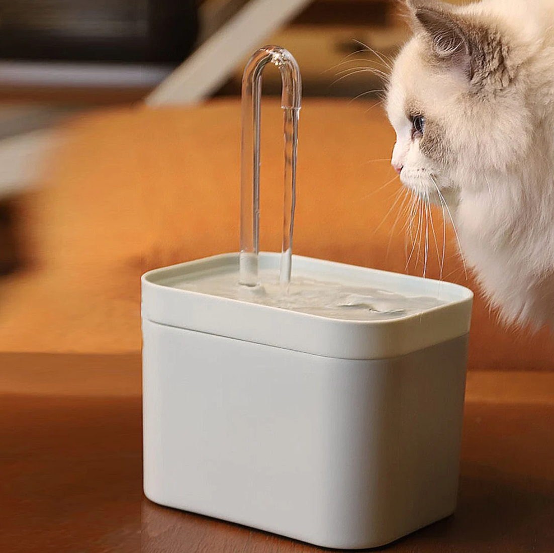 Automatischer Katzenbrunnen