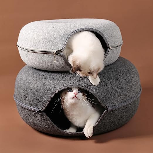 Cat Hole, des beignets pour chatons
