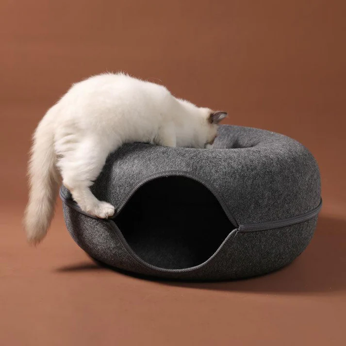 Cat Hole, des beignets pour chatons