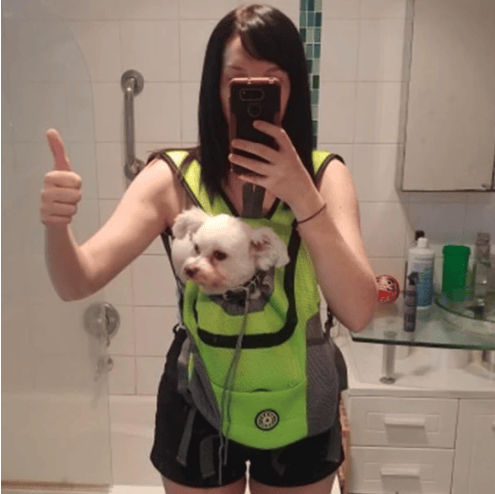 Sac à dos pour chien