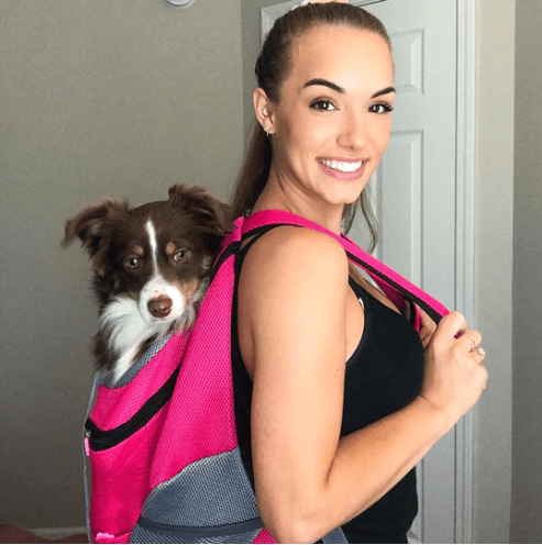 Sac à dos pour chien