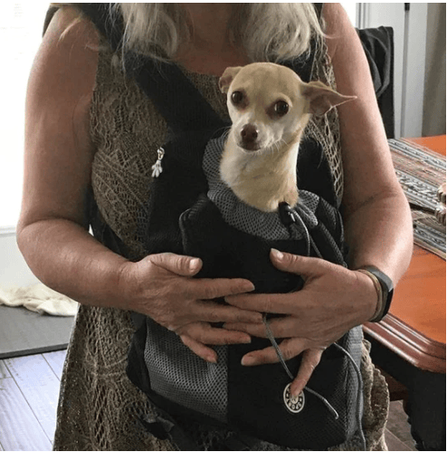 Sac à dos pour chien