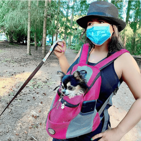 Sac à dos pour chien