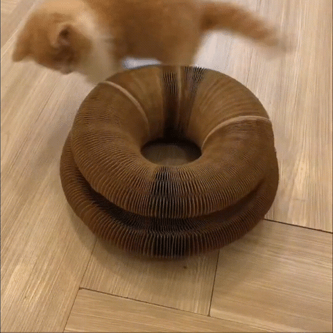 Magische Orgel Katzenkratzbrett