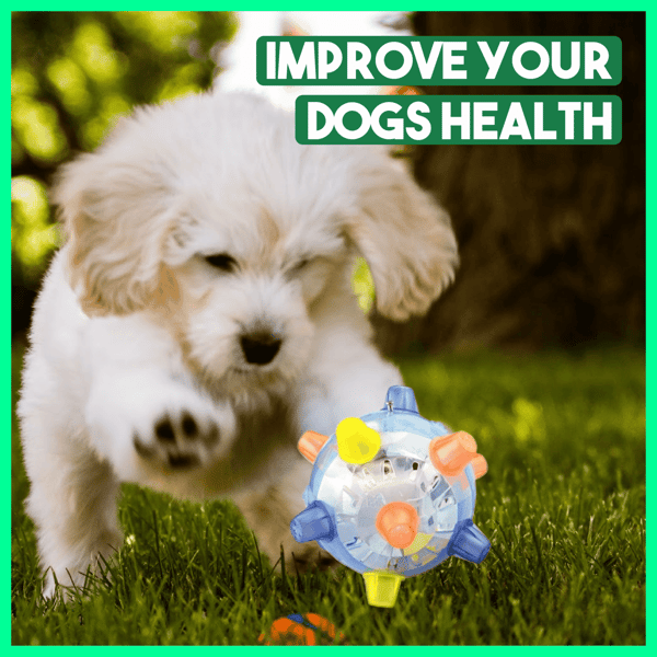 💥Hot Sale💥Jumping Activation Ball for Dogs（Blue+Pink）