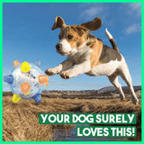 💥Hot Sale💥Jumping Activation Ball for Dogs（Blue+Pink）