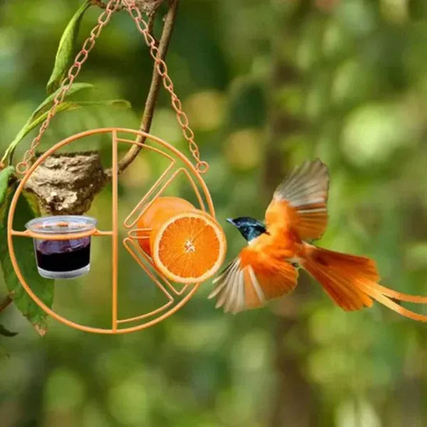 Sherem FruitLure Vogelhäuschen