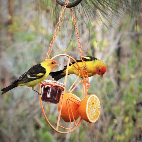Sherem FruitLure Vogelhäuschen