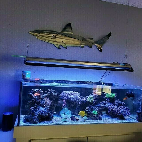 🦈 Hai Metallkunst Wanddekoration
