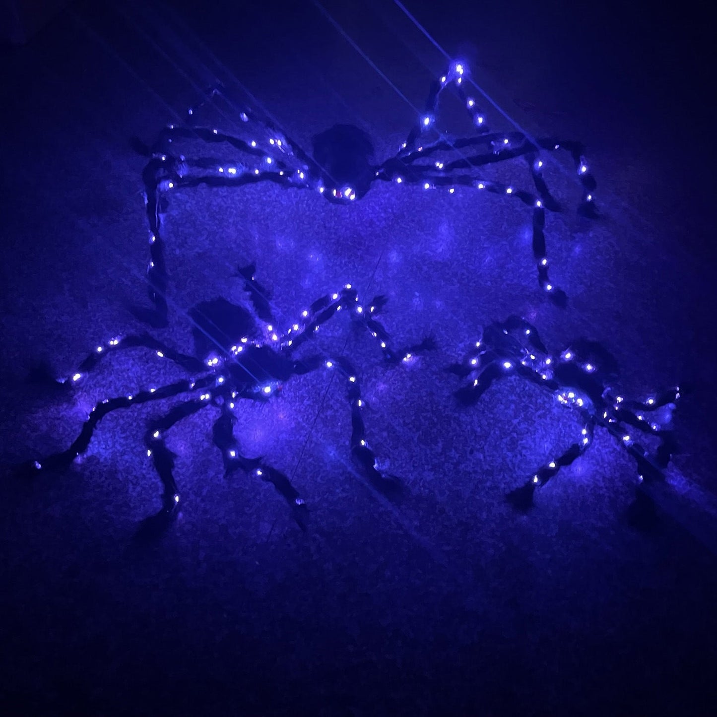 Araignée Lumineuse d'Halloween