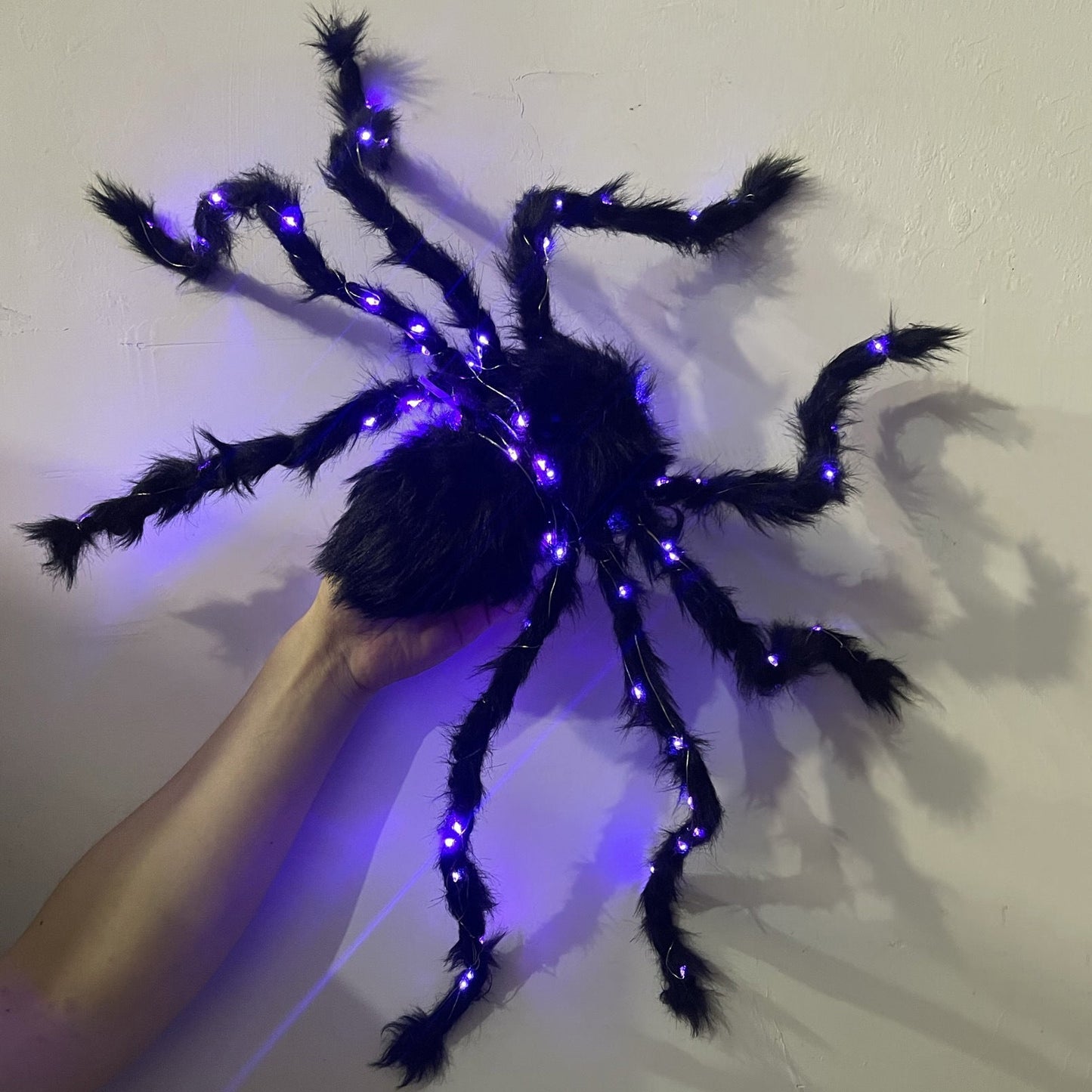 Araignée Lumineuse d'Halloween